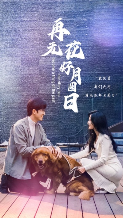 《再无花好月圆日》短剧高清全集免费在线观看播放完整版