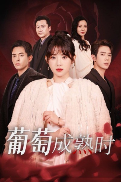 《葡萄成熟时》短剧高清全集免费在线观看播放完整版