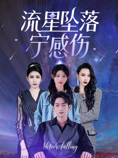 《流星坠落宁感伤》短剧高清全集免费在线观看播放完整版