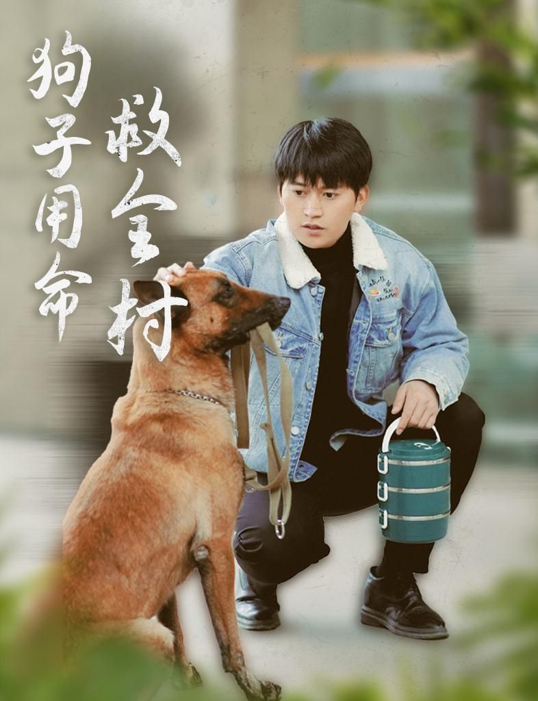 《狗子用命救全村》短剧高清全集免费在线观看播放完整版 狗子用命救全村，狗子用命救全村短剧，狗子用命救全村网剧，短剧狗子用命救全村，狗子用命救全村全集，狗子用命救全村免费在线观看，狗子用命救全村完整版，狗子用命救全村网盘资源，狗子用命救全村夸克资源，狗子用命救全村夸克网盘 第1张