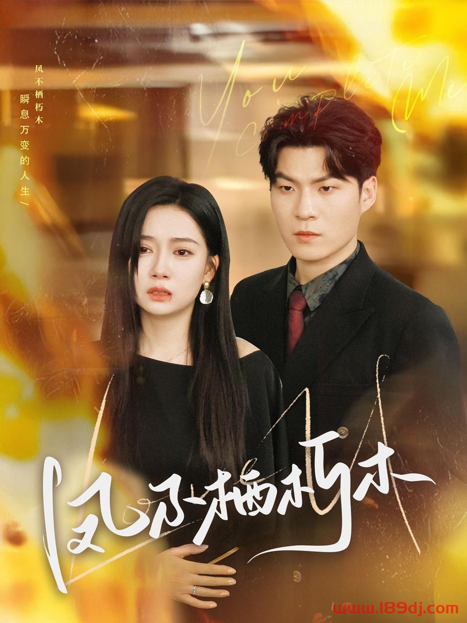 《凤不栖朽木》短剧高清全集免费在线观看播放完整版 凤不栖朽木，凤不栖朽木短剧，凤不栖朽木网剧，短剧凤不栖朽木，凤不栖朽木全集，凤不栖朽木免费在线观看，凤不栖朽木完整版，凤不栖朽木网盘资源，凤不栖朽木夸克资源，凤不栖朽木夸克网盘 第1张